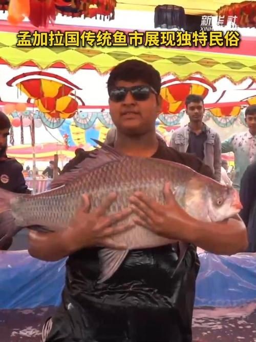 廣西孟加拉魚圖片，廣西孟加拉魚高清實拍圖片及詳細