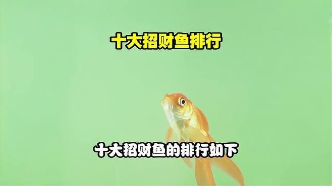 十大招財魚排行，揭秘十大招財魚排行，家居風水必