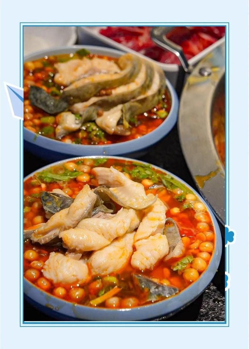 安康龍魚店，安康專業龍魚
