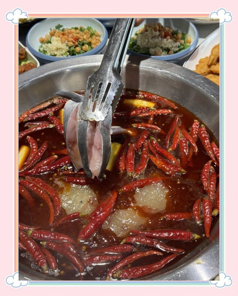 安康龍魚店，安康專業龍魚