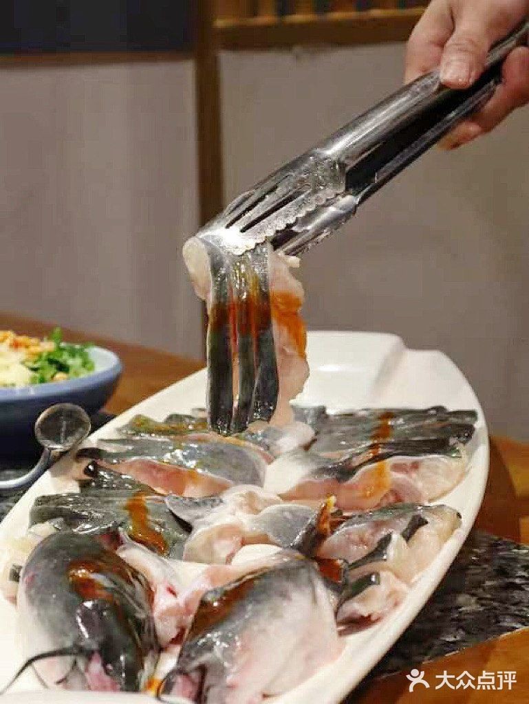 安康龍魚店，安康專業龍魚