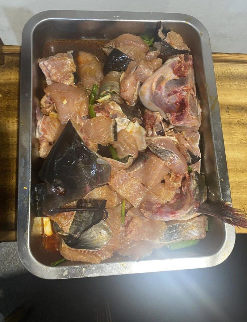 安康龍魚店，安康專業龍魚