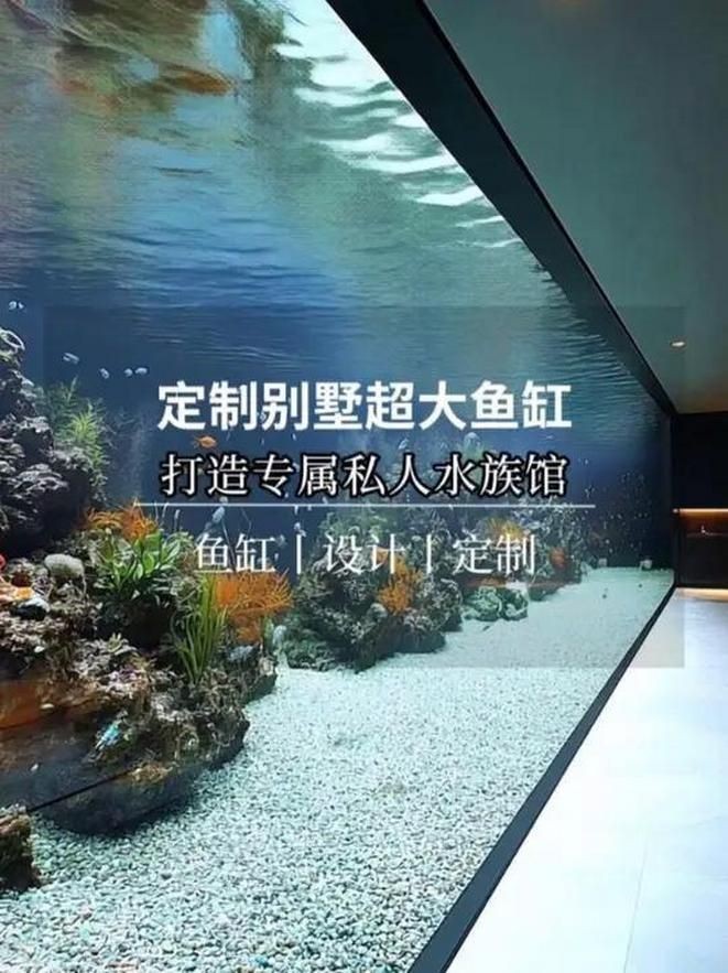 聚龍殿大型水族箱，震撼！探秘聚龍殿