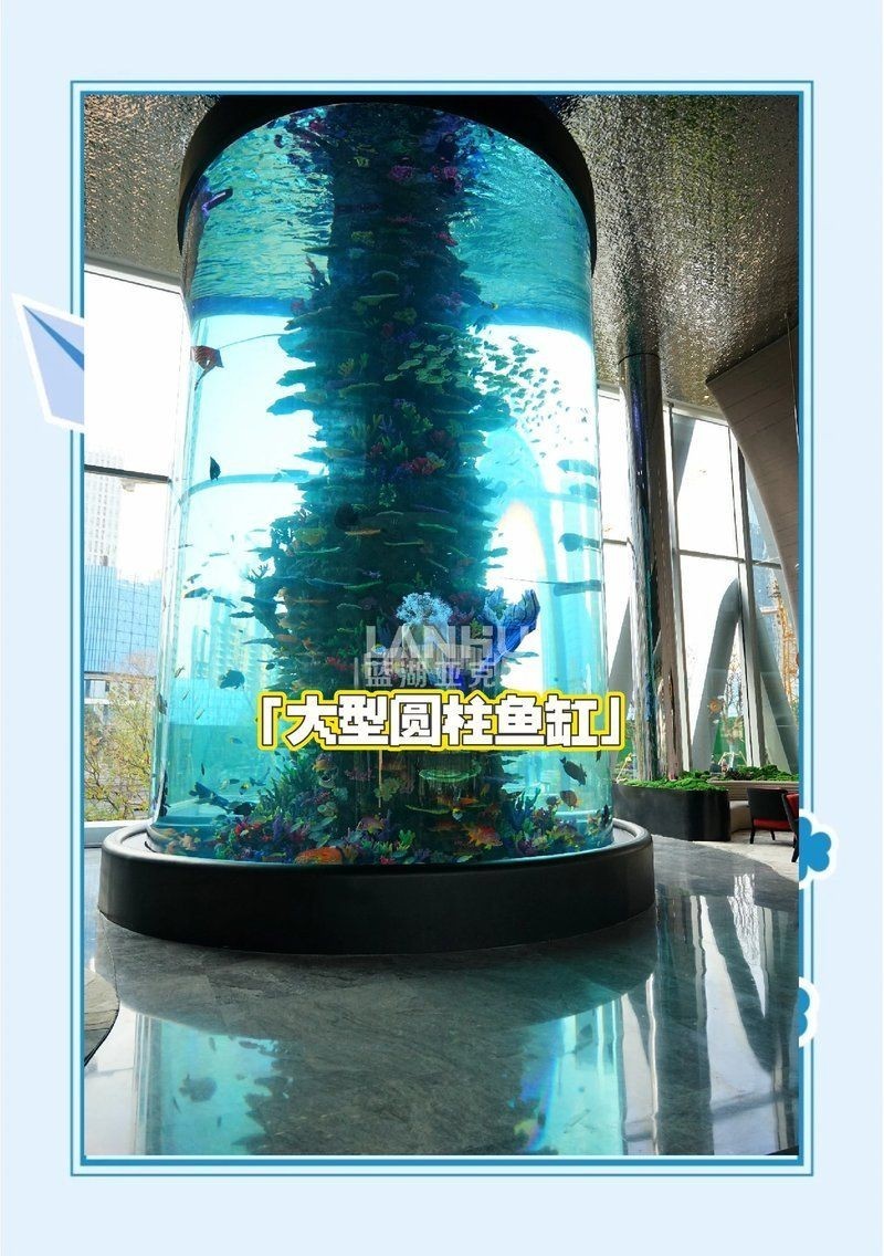 聚龍殿大型水族箱，震撼！探秘聚龍殿