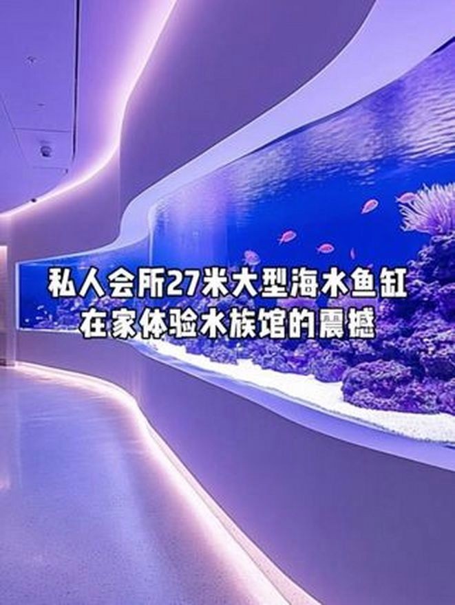 聚龍殿大型水族箱，震撼！探秘聚龍殿