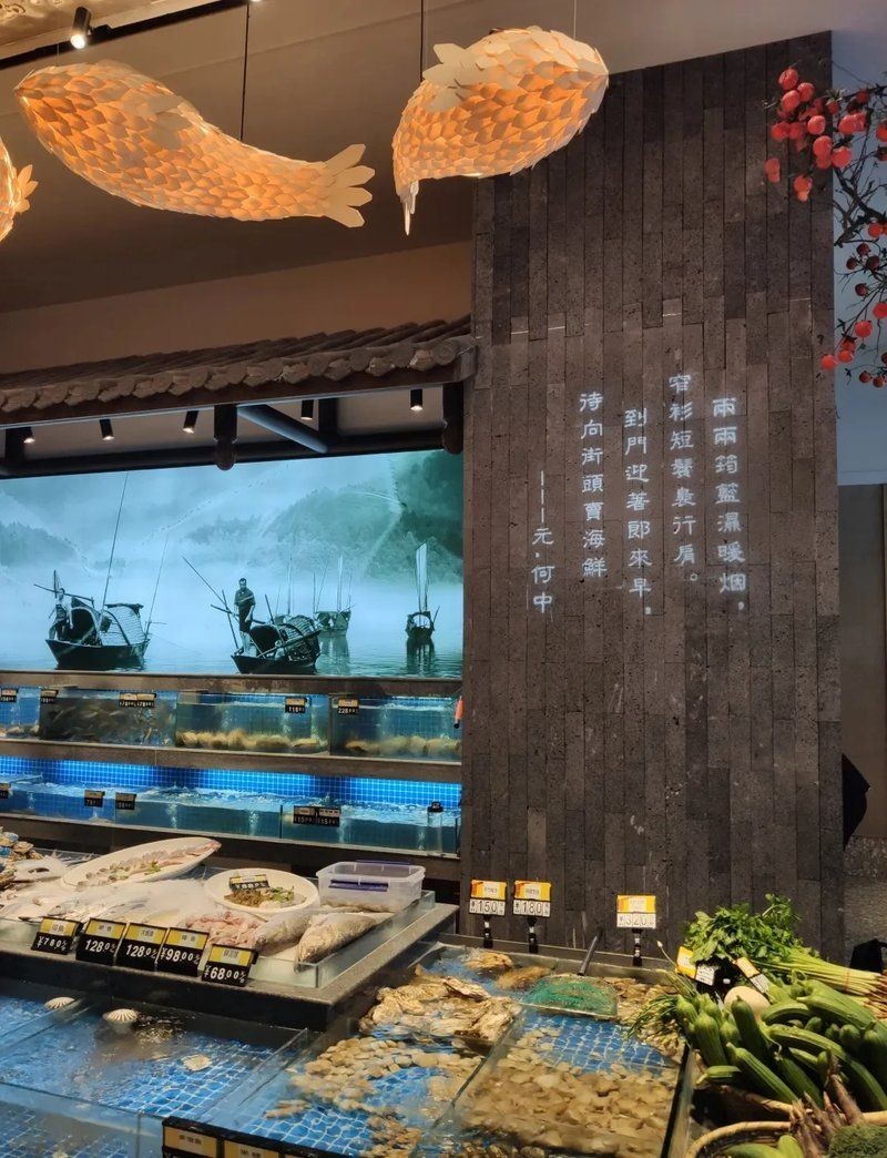 南通龍魚(yú)店，南通精品龍魚(yú)專賣店，觀賞魚(yú)養(yǎng)護(hù)與