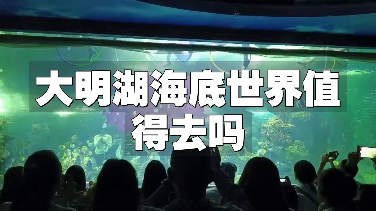 濟南哪個海洋館最好，濟南必打卡！口碑最佳的