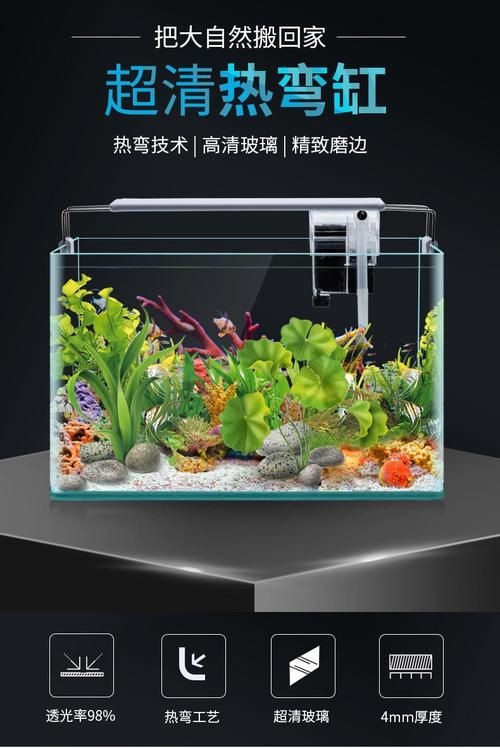 家庭小型魚缸圖片，精選家庭小型