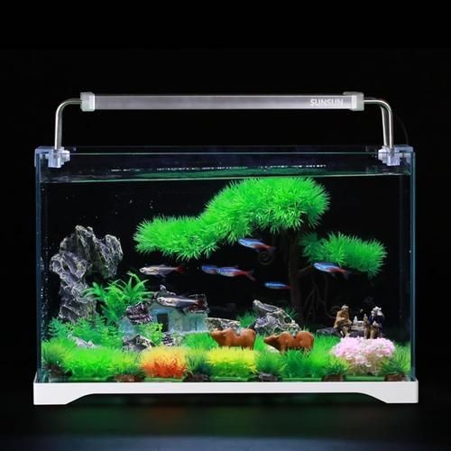 家庭小型魚缸圖片，精選家庭小型