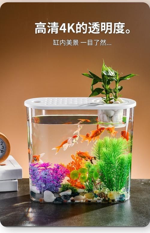 家庭小型魚缸圖片，精選家庭小型