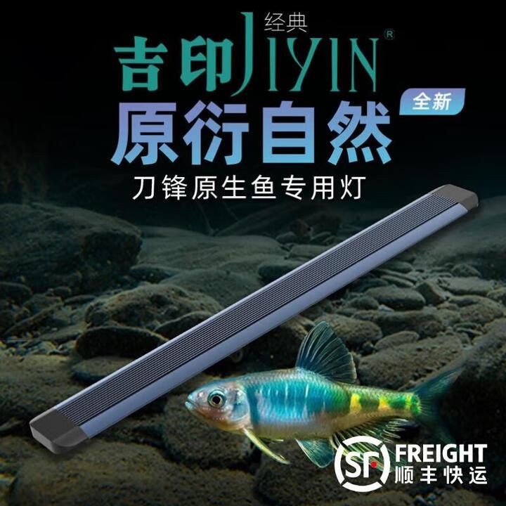 吉印水草燈尺寸，吉印水草燈尺寸詳解，適配不同場景的規(guī)格參數(shù)指南