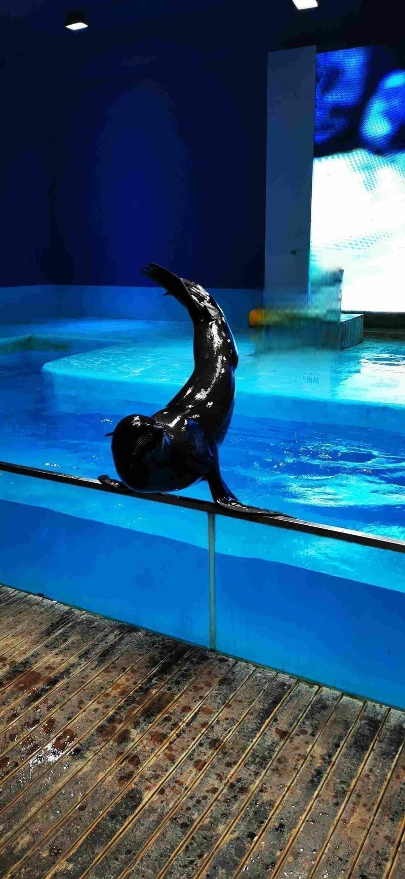 蘭州水族店，蘭州人氣爆棚的水族店精選