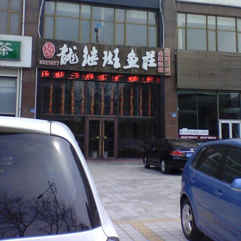 威海龍魚店，威海龍魚專賣店｜精品龍魚繁育·觀賞魚一站式選購