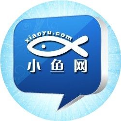 海象吃人嗎，海象真的會(huì)攻擊人類嗎？揭秘其食性、領(lǐng)地行為及潛在危險(xiǎn)性