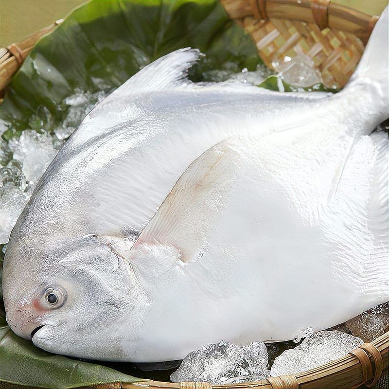 廣東最出名十大魚，盤點廣東十大名魚！這些鮮美水產你吃過