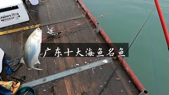 廣東最出名十大魚，盤點廣東十大名魚！這些鮮美水產你吃過