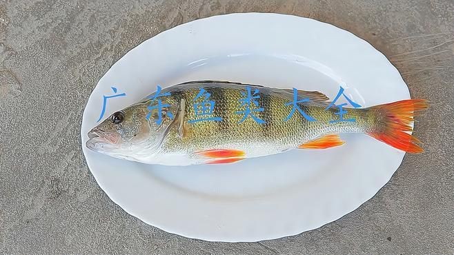 廣東最出名十大魚，盤點廣東十大名魚！這些鮮美水產你吃過