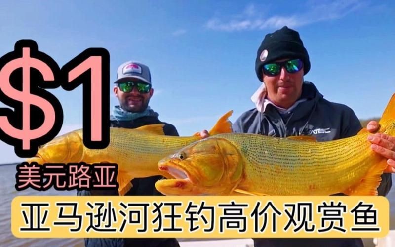 河虎魚多少錢一條，河虎魚市場價多少錢一條？