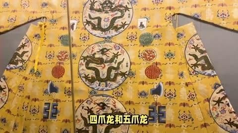 四角龍圖片，高清震撼！神秘四角龍珍貴圖片大賞