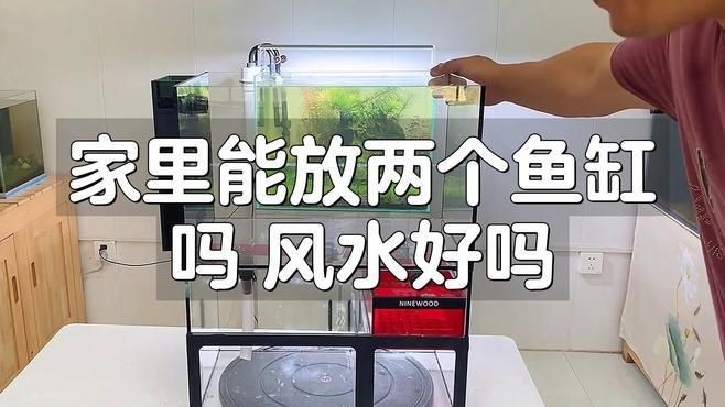 家中一大一小兩個(gè)魚缸可以嗎，家中擺放一大一小兩個(gè)魚缸是否
