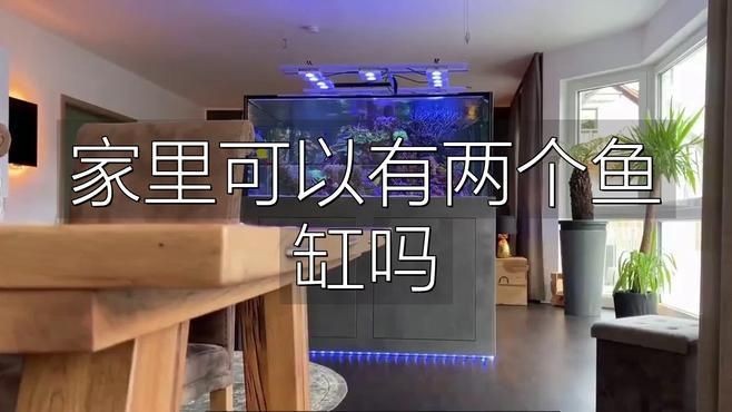 家中一大一小兩個(gè)魚缸可以嗎，家中擺放一大一小兩個(gè)魚缸是否