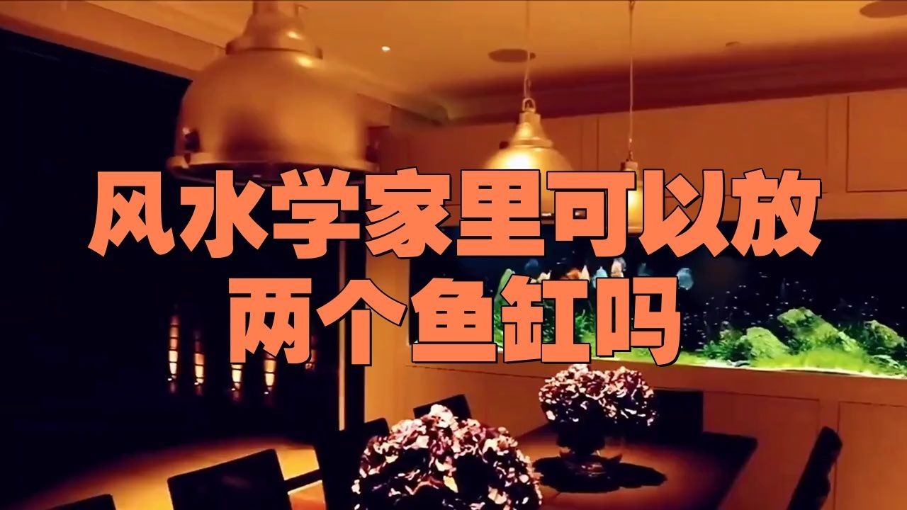 家中一大一小兩個(gè)魚缸可以嗎，家中擺放一大一小兩個(gè)魚缸是否