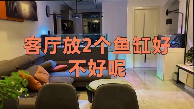家中一大一小兩個(gè)魚缸可以嗎，家中擺放一大一小兩個(gè)魚缸是否