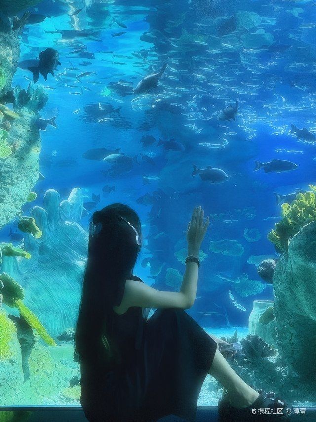 南寧水族店，??南寧人氣水族店推薦｜精品觀賞魚·專業造景·一站式配