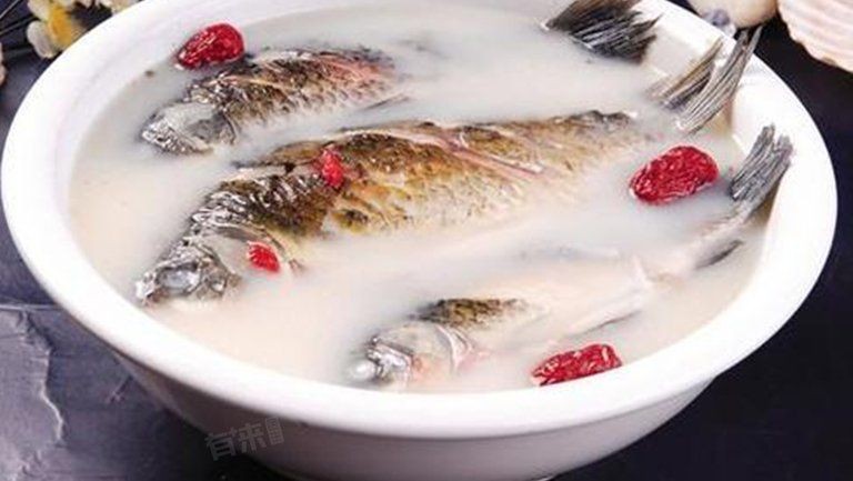爛鰓病的魚還能吃嗎，患爛鰓病的魚究竟