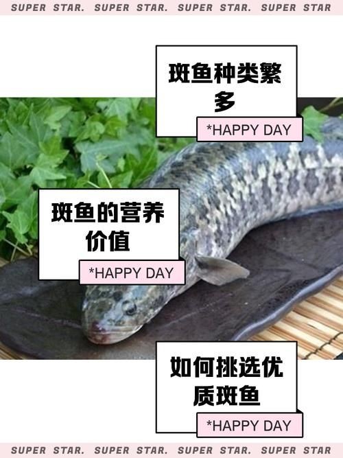 六角恐龍魚多久認主人，六角恐龍魚多久認主人，六角恐龍魚認主訓練30天打卡表