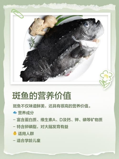 廣西斑魚圖片，廣西斑魚高清實(shí)拍圖——展現(xiàn)