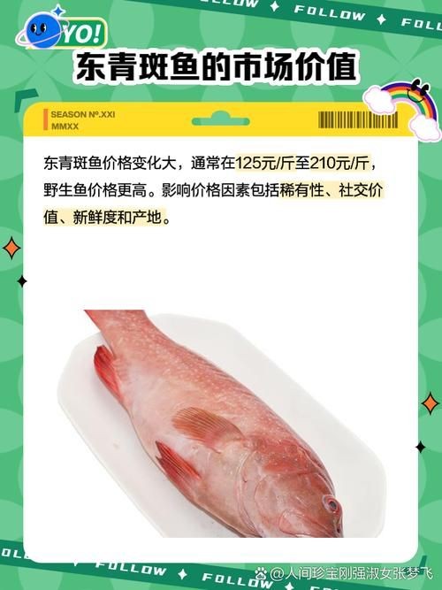 廣西斑魚圖片，廣西斑魚高清實(shí)拍圖——展現(xiàn)