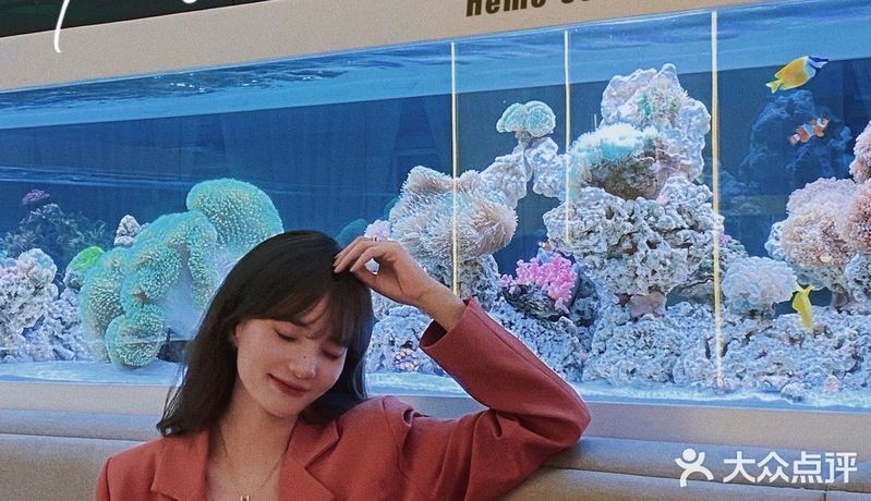 嘉興水族店，嘉興專業水族店——一站式觀賞魚