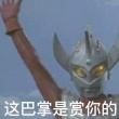 嘉興水族店，嘉興專業水族店——一站式觀賞魚