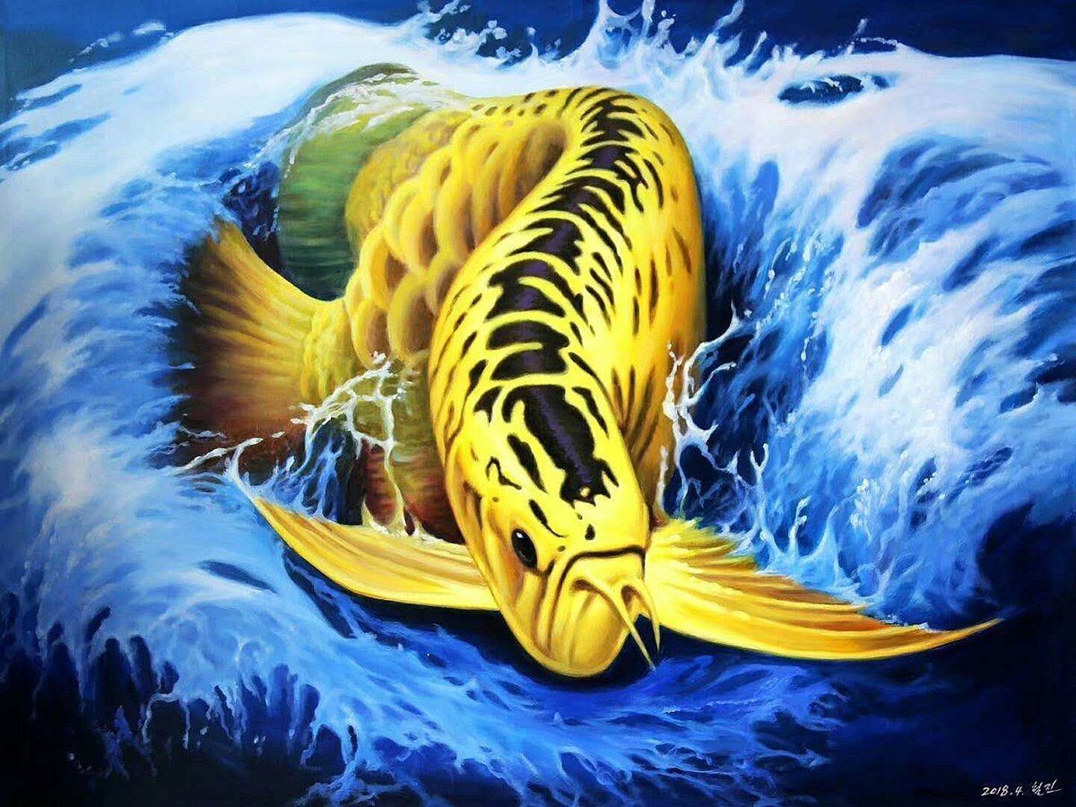 油畫金龍魚圖片大全大圖，高清油畫金龍魚藝術大賞，百幅精品大圖合集