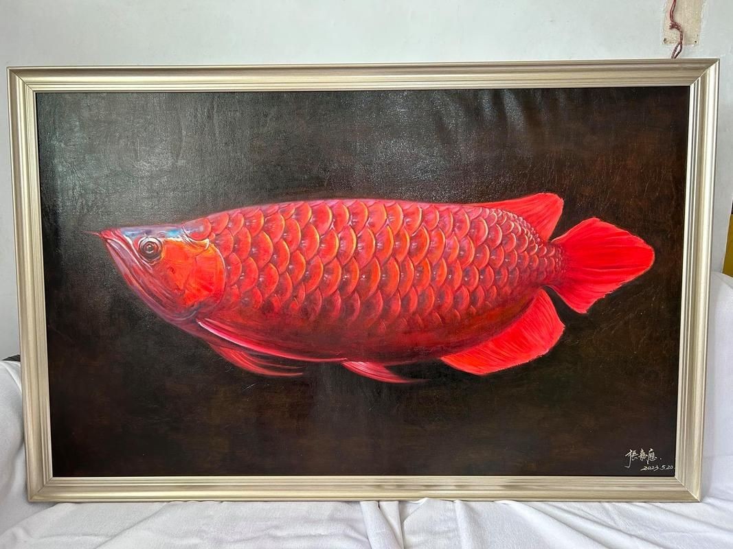 油畫金龍魚圖片大全大圖，高清油畫金龍魚藝術大賞，百幅精品大圖合集