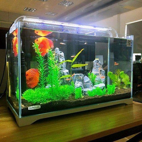 舊魚缸漏水二次補膠視頻，手把手教學｜舊魚缸漏水二次補膠