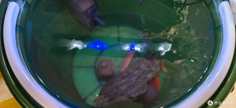 舊魚缸漏水二次補膠視頻，手把手教學｜舊魚缸漏水二次補膠
