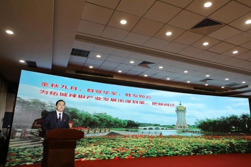 河南紅綠辣椒董事長簡介，豫企風采｜河南紅綠辣椒董事長成長之路與企業(yè)發(fā)展
