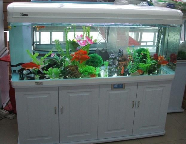 加盟水族館哪家最靠譜，揭秘！當下最具實力的水族館加盟品牌TOP榜