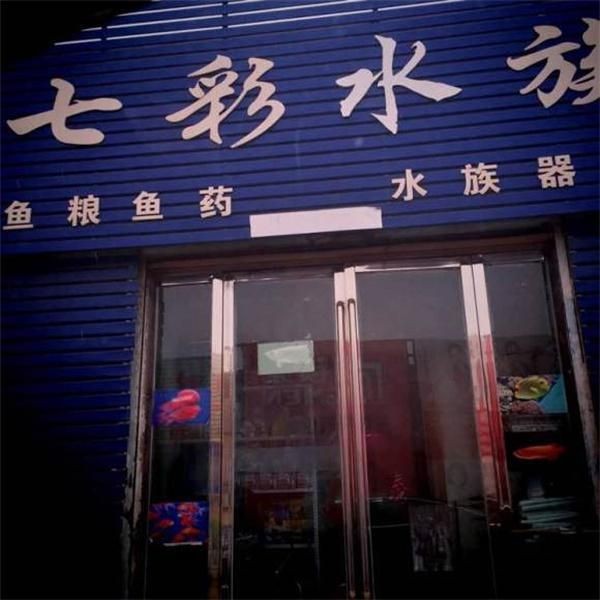 加盟水族館哪家最靠譜，揭秘！當下最具實力的水族館加盟品牌TOP榜