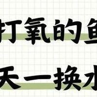 燕魚混養(yǎng)最佳搭配圖，燕魚混養(yǎng)黃金搭檔全解析