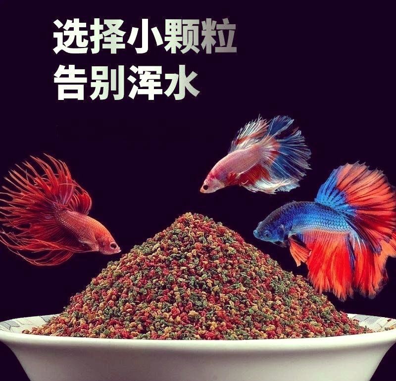 好魚糧為何不能亂吃，警惕！優質魚糧也需科學投喂，盲目喂食