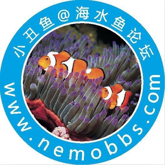 海水魚論壇，海水魚愛好者交流與