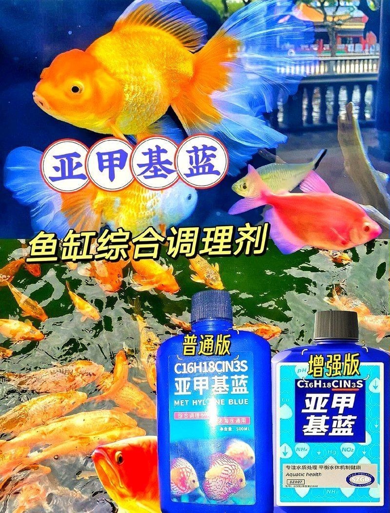 亞甲基藍對炸鱗有效嗎，亞甲基藍治療觀賞魚炸鱗病癥的實際功效解析