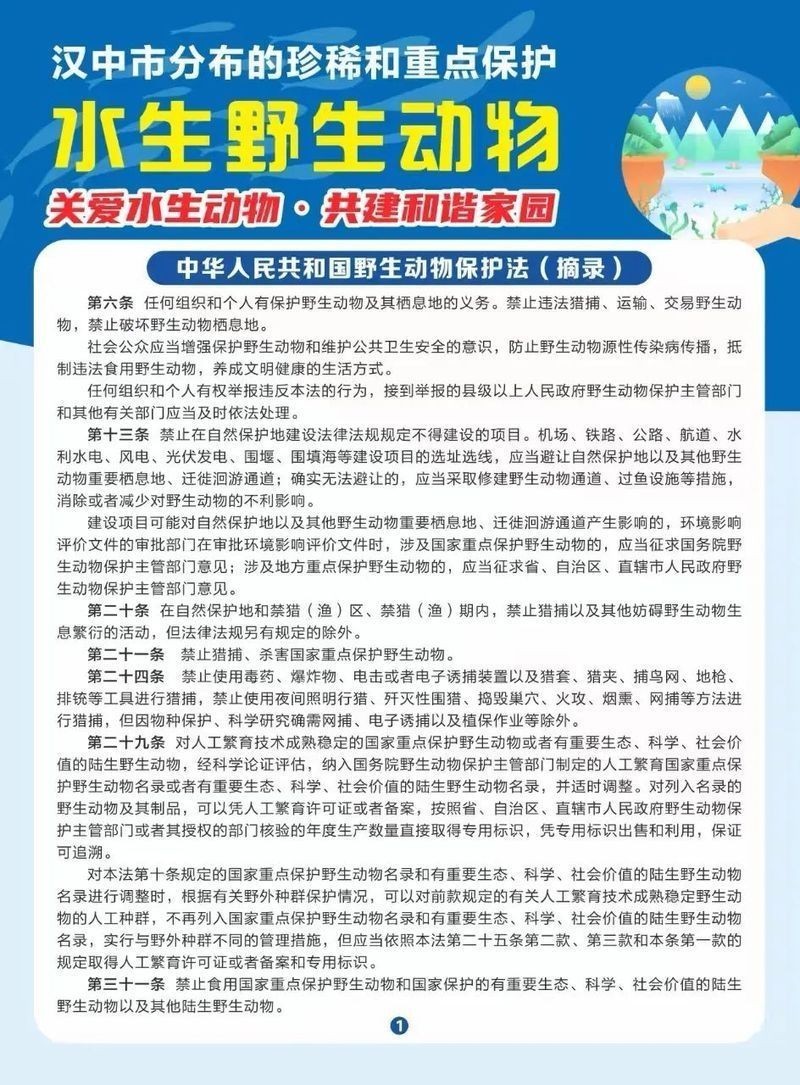 國家一二級保護野生魚類大全，權威名錄國家一二級重點