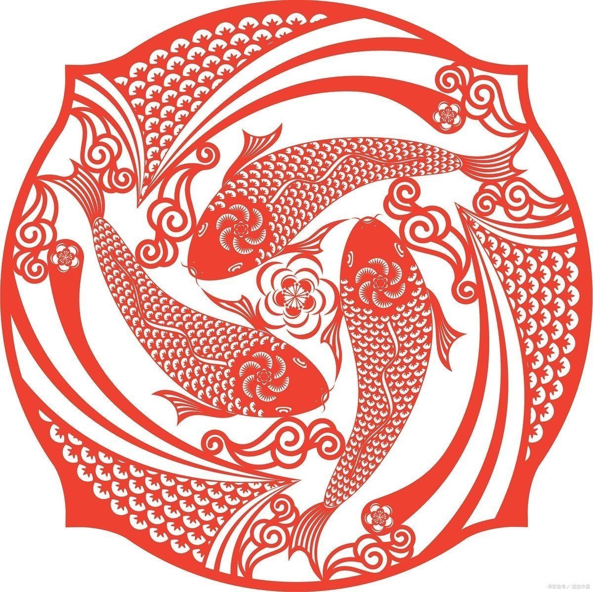 海象魚的寓意及象征意義，解碼海象魚，探尋其獨特寓意與深層
