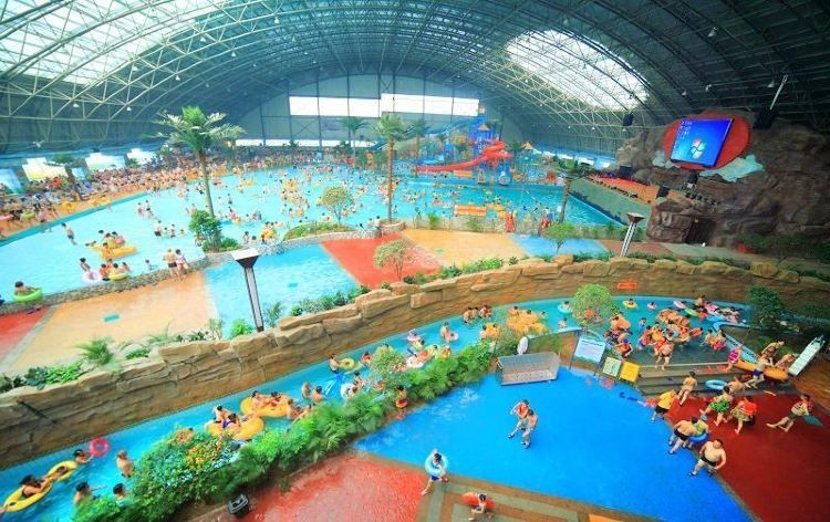 烏海水族批發市場，烏海專業水族批發市場——海量貨源