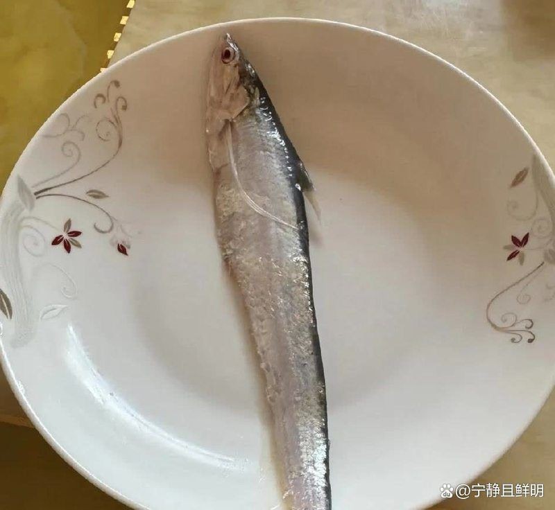 河刀魚是河魚還是海魚，深度解析，河刀魚到底是河魚