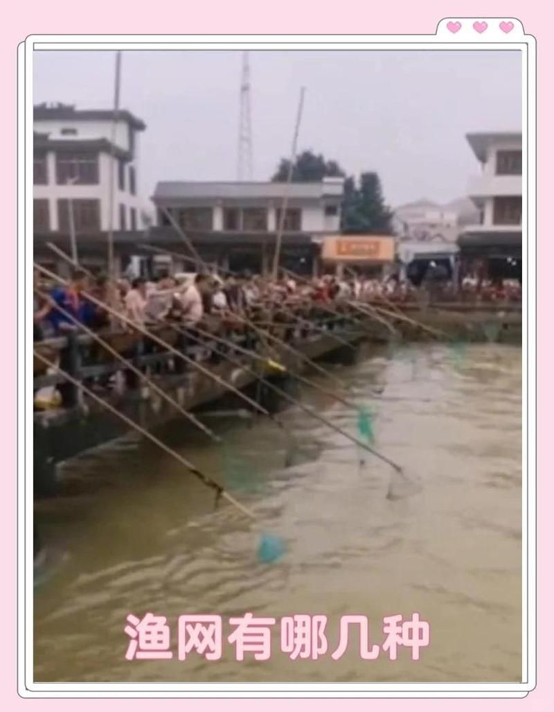 各種漁網大全，全網羅列！常見漁網類型